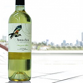 Vang Chile Aves Del Sur Sauvignon Blanc